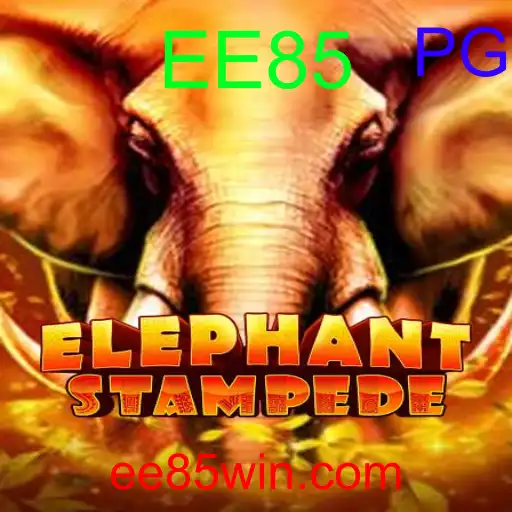 ElephantStampede